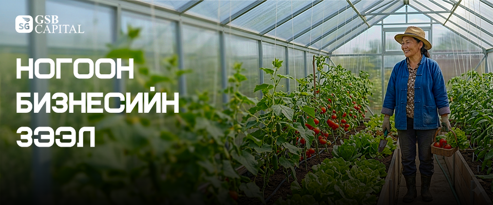 Ногоон бизнесийн зээл